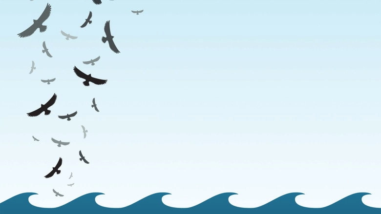 In The Wake Of The Flood (2010)