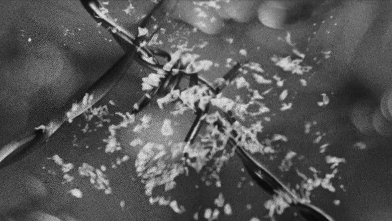 Eve (2002)