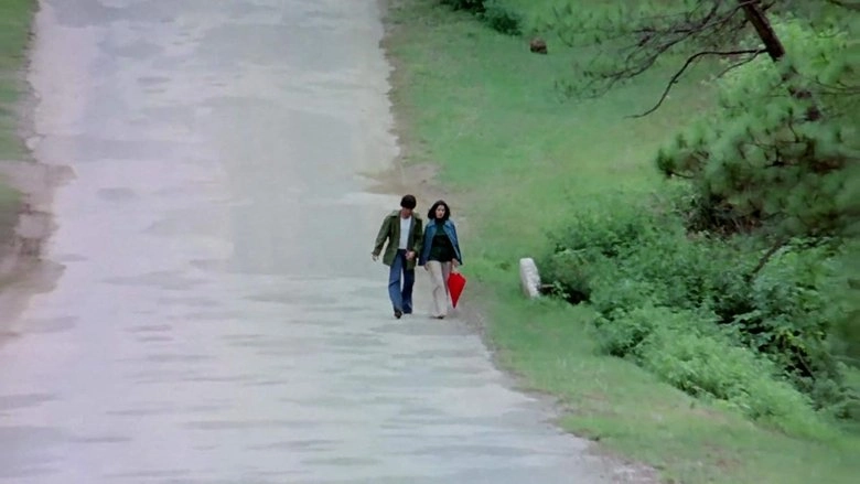 Moments In A Stolen Dream (1977)