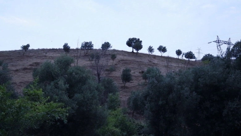 And Kiarostami Goes On (2018)