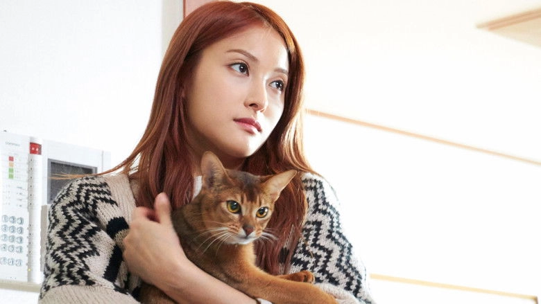 How To Break Up With My Cat (2016)