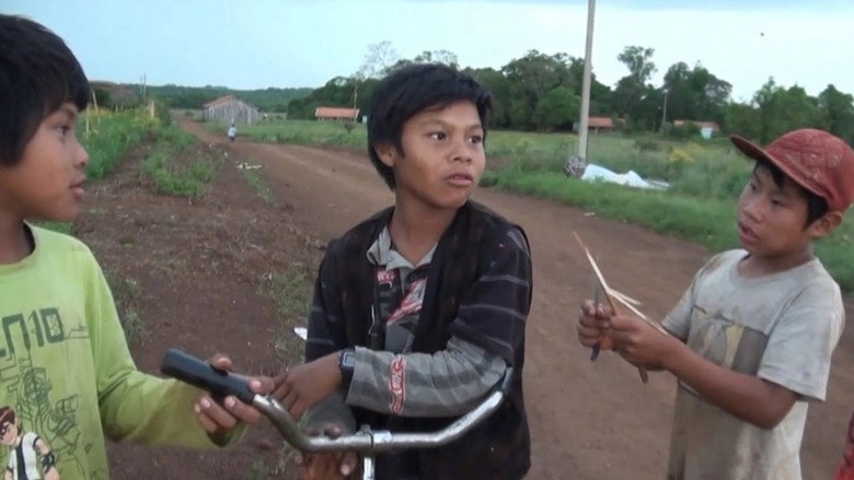 No Caminho Com Mario (2014)