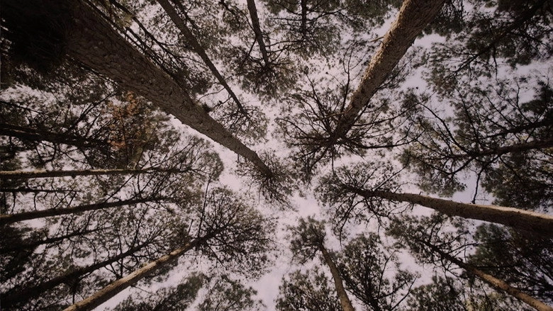 Nos Montanha (2018)