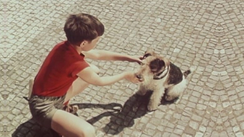 Punta A Ctyrlistek (1955)