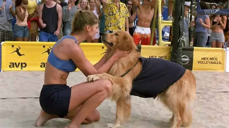 Air Bud: Spikes Back (2003)