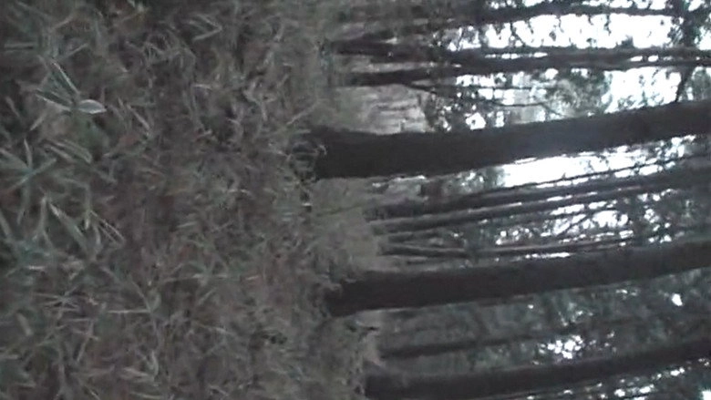 Cursed Local Urban Legends: Hokkaido & Tohoku Edition (2011)