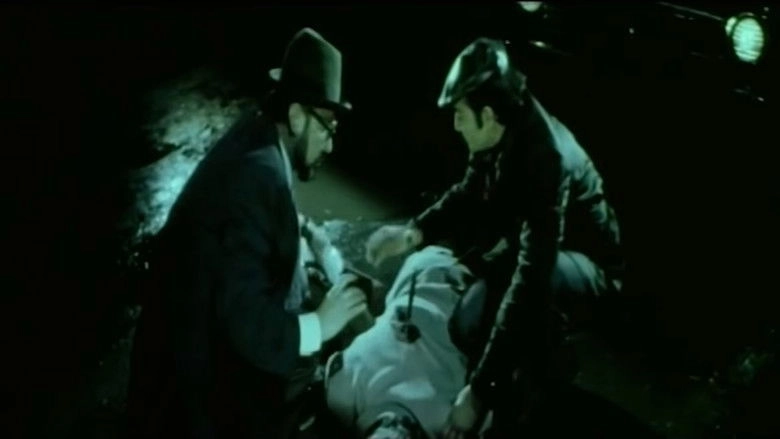 Arxadan Vurulan Zarba (1977)