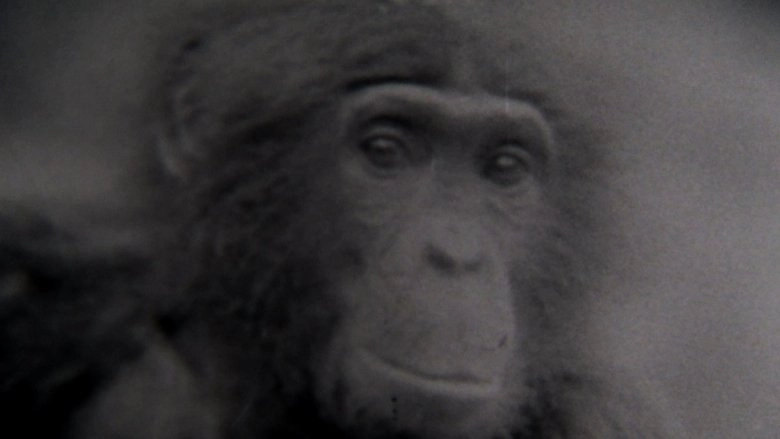 Second Nature (2014)