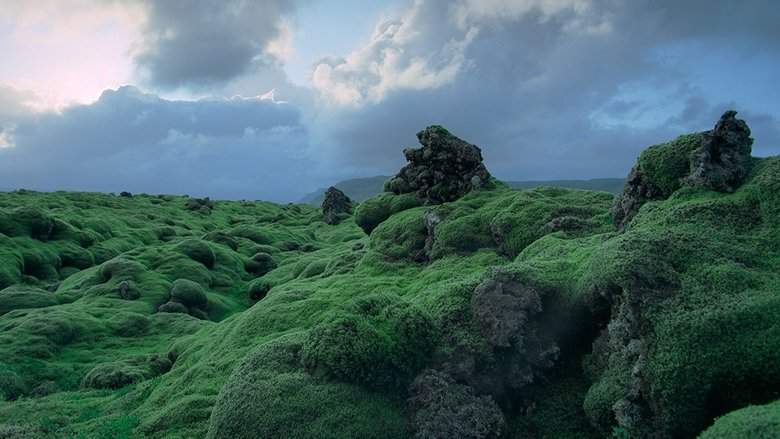 Voyage Of Time (2016)