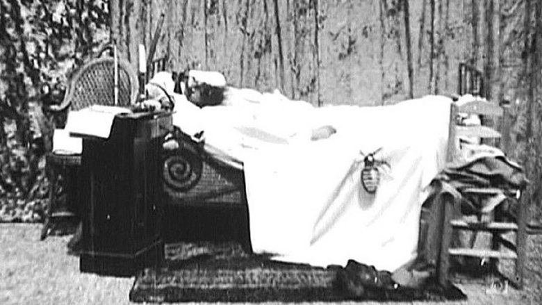 Une Nuit Terrible (1896)