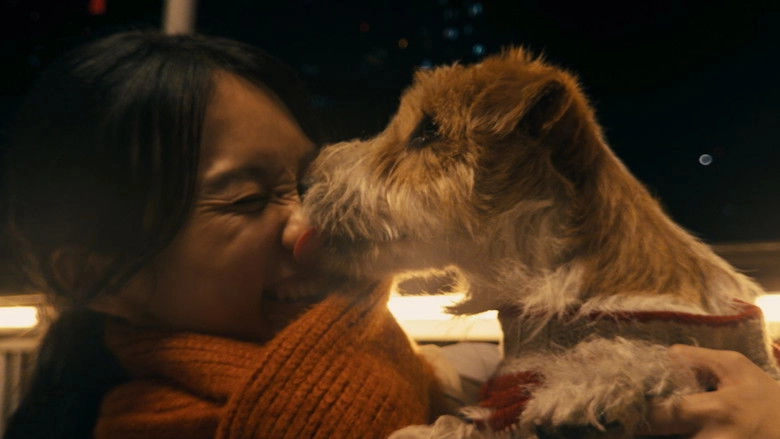 Glad I Met You (2026)