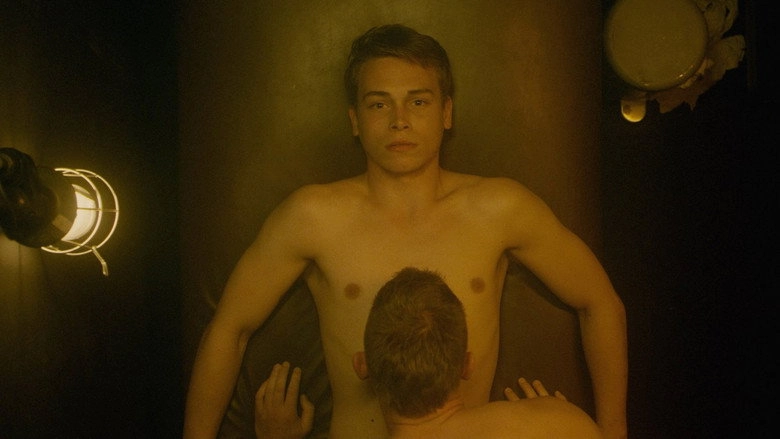 Perpetual (2015)