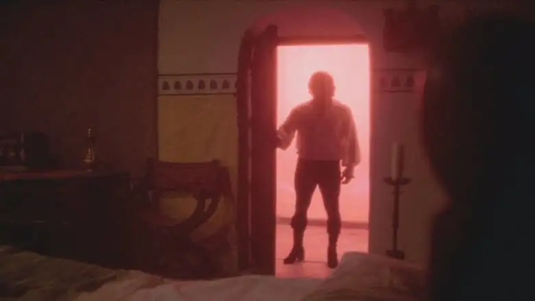 The Traveller (1979)