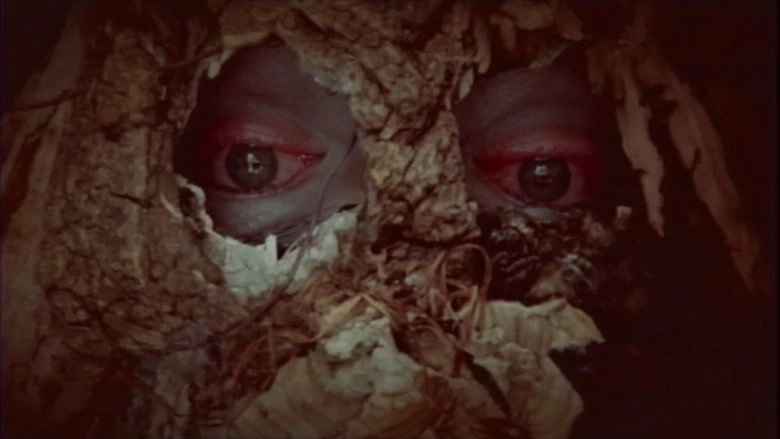 Lake Nowhere (2014)