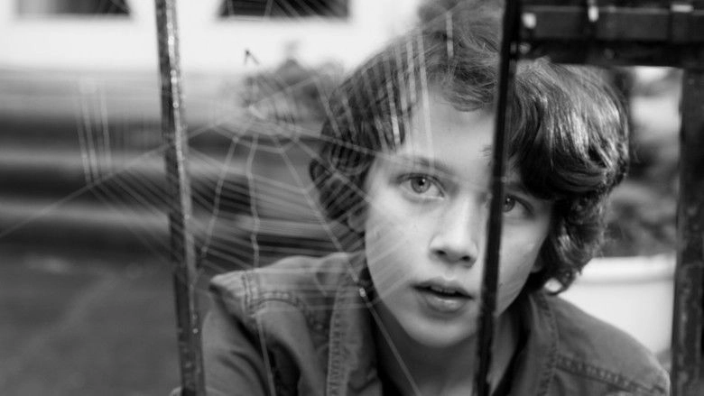 The Spiderwebhouse (2015)