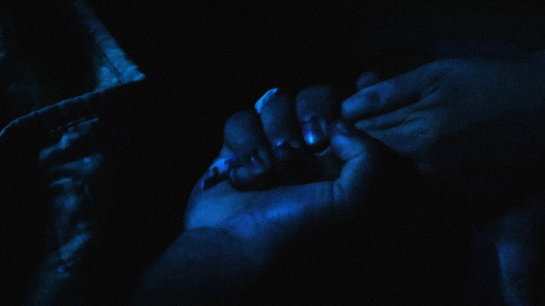 En Lo Oscuro No Se Ve (2024)