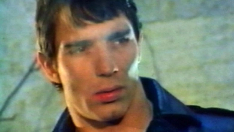 Mondo Homo: A Study Of French Gay Porn In The '70s (2014)