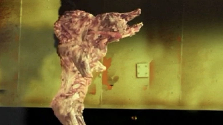 The Pig Walks (2002)