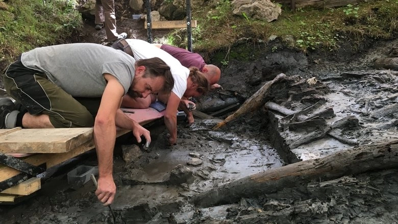 Mystery Of The Celtic Tomb (2019)