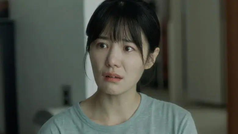 Prism Of Gray Rock (2025)