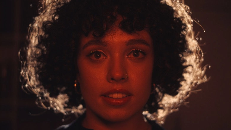 Night Glances (2025)