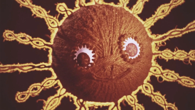 The Thread And The Kitten (1974)