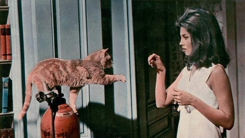 Eye Of The Cat (1969)