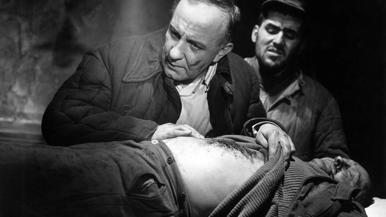 Der Arzt Von Stalingrad (1958)