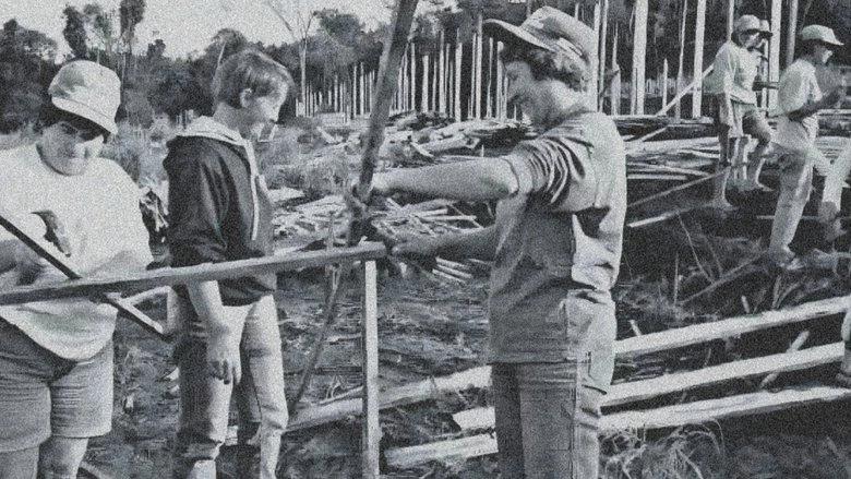 O Sonho De Rose - 10 Anos Depois (2000)
