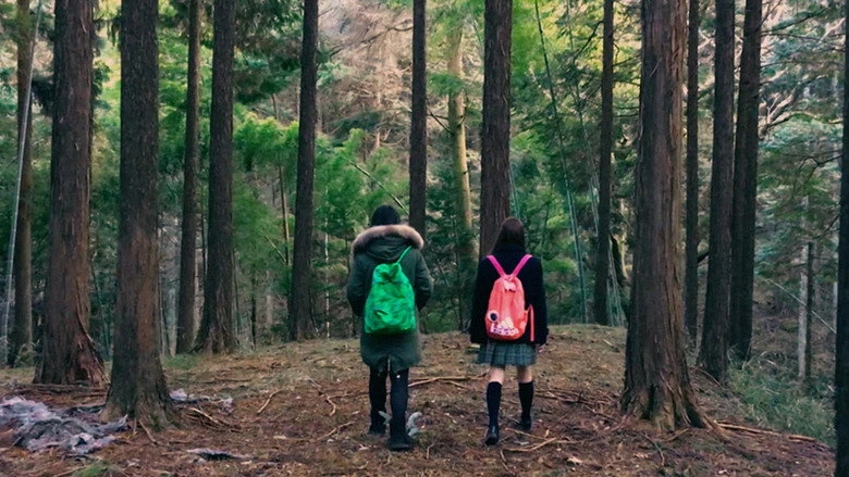 Fuji_jukai.mov (2016)