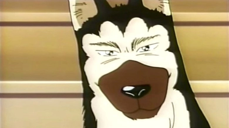 Kennel Tokorozawa (1992)
