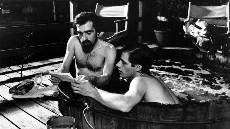 American Boy: A Profile Of Steven Prince (1978)