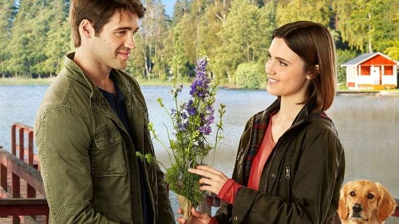 Home By Spring (2018)