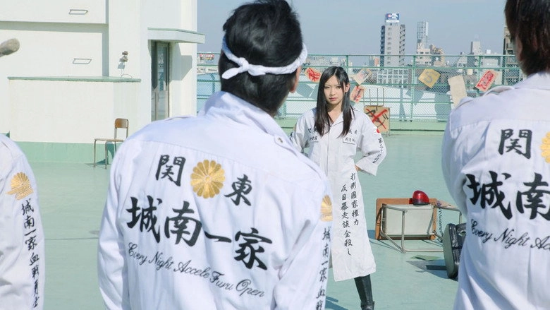 Yankee High School Girl 6 ~Hachioji's Strongest Legend~ (2011)