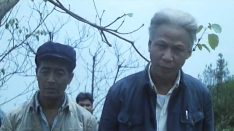 Liu Shao Qi De Si Shi Si Tian (1992)