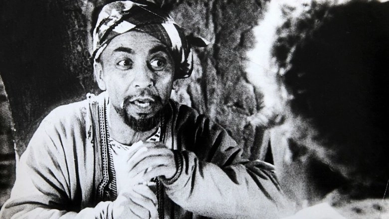 Pokhozhdeniya Nasreddina (1946)