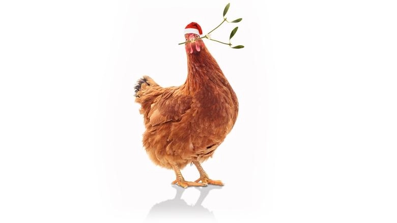 Feather Christmas (2024)