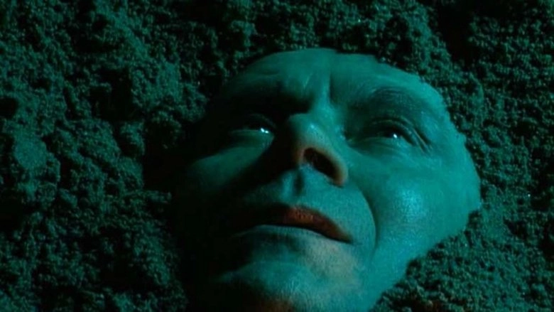 Il Pratone Del Casilino (1995)