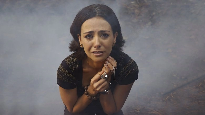 El Libro De Piedra (2009)