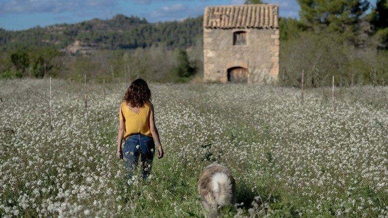 Los Destellos (2024)