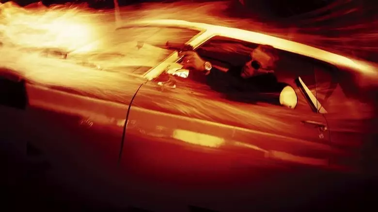 Wake Of Death (2004)