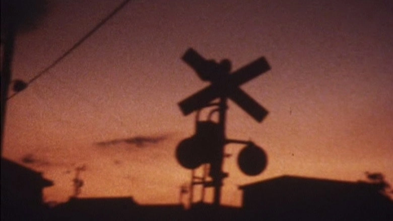 Field Feet (2008)