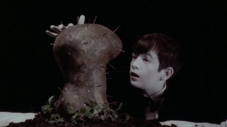 The Grandmother (1970)