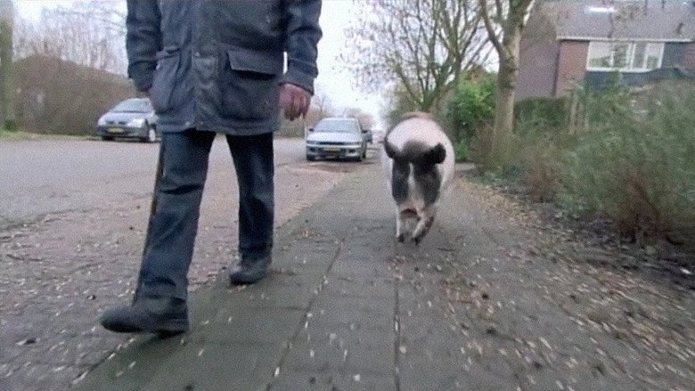 Divine Pig (2010)