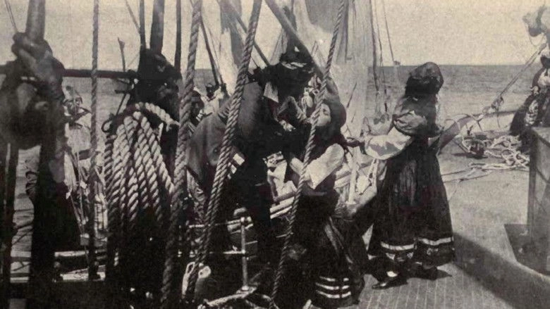 The Rose Of Old St. Augustine (1911)