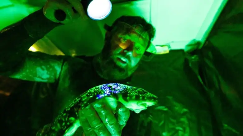 Alien Sharks: Strange New Worlds (2023)