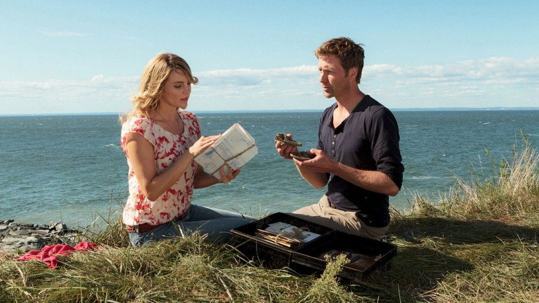 Katie Fforde - Leuchtturm Mit Aussicht (2012)