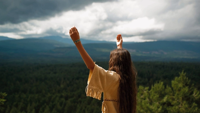 Shana: The Wolf's Music (2014)