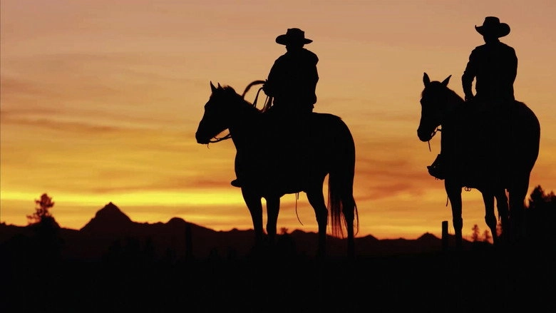 The Cowboy (1951)