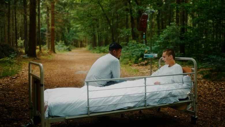 FINN (2022)